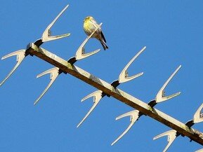 dtt antenne sassuolo free energy modena